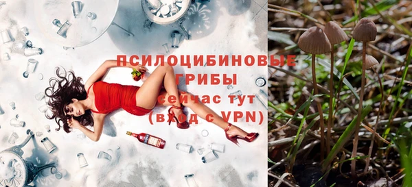 мяу мяу мука Верхний Тагил